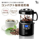 コーヒー焙煎機 SY-121 美味しい アイスコーヒー コーヒー豆 粉 水出し 