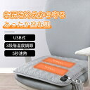 電気マット ヒーターシート 電気クッション 足元ヒーター ポケット付 電気カーペット ホットクッション 一人用 座布団 パーソナル暖房 足元ヒーター ホットマッ...