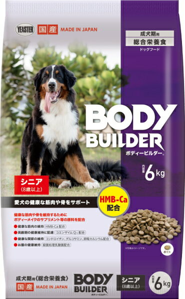 【イースター】ボディービルダー　シニア　6kg