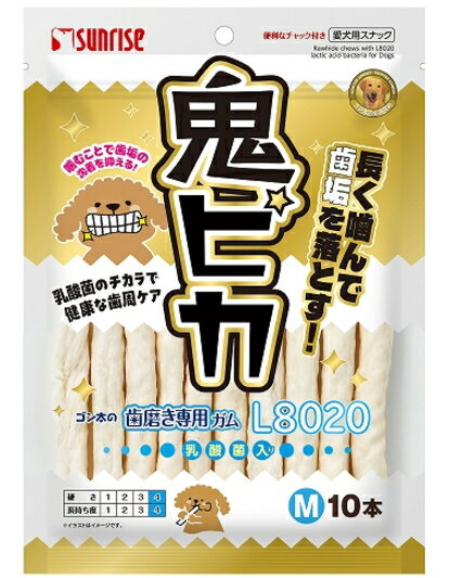 Chewing Gums - 【サンライズ】ゴン太の歯磨き専用ガム　L8020乳酸菌入り　鬼ピカ　Mサイズ　10本x48個（ケース販売）