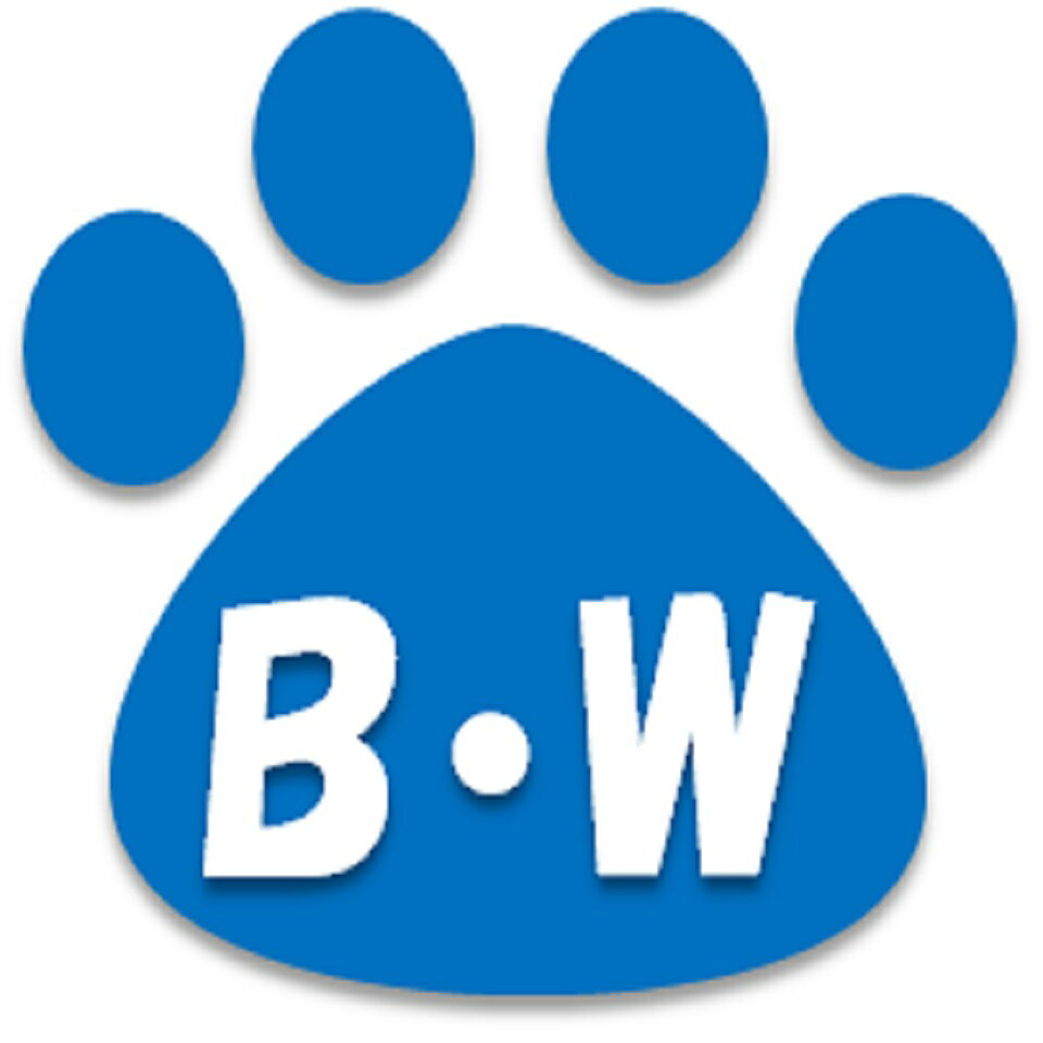 Shop icon