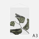 Paper Collective / Floating Leaves 03 A3(Clear)[115721