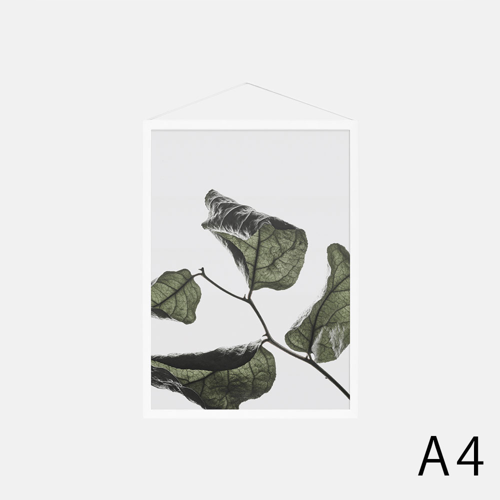 Paper Collective / Floating Leaves 03 A4(Clear)[115712