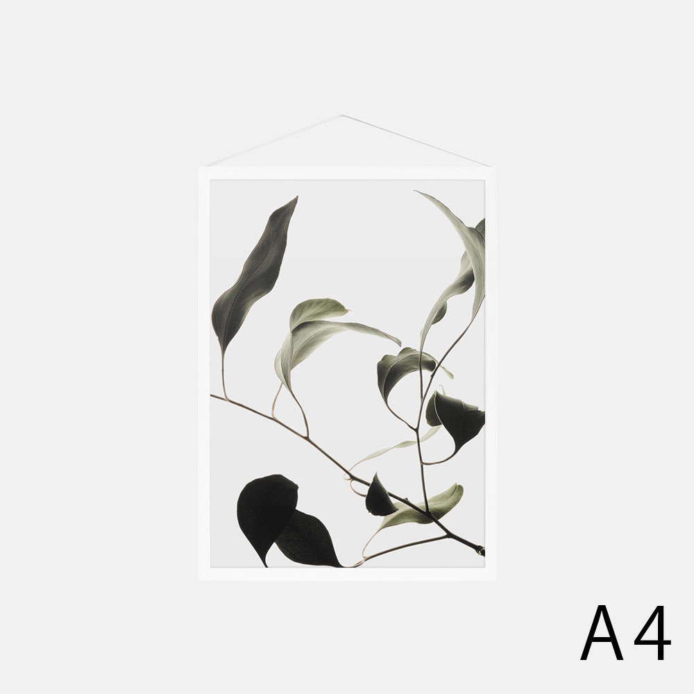 Paper Collective / Floating Leaves 09 A4(Clear)【メール便可 5点まで】【ペーパーコレクティブ/ポスター/フローティングリーヴス/デンマーク/インテリア】[115718