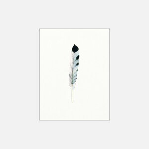 SarahMartinez/LoneFeatherNo.12W203×H254mm