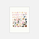 Sarah Martinez / Rock Collection No.2 W216×H280mm【メール便可 5点まで】【8.5"×11"/サラマルティネス/水彩画/アート/ロックコレクション/小石】[113826