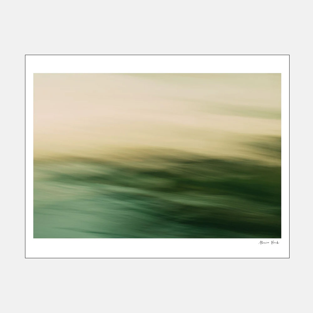 Alicia Bock Photography / Lido Green 330254mm8