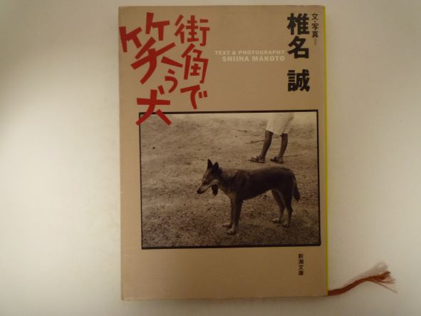 街角で笑う犬 (新潮文庫) 椎名 誠（著）