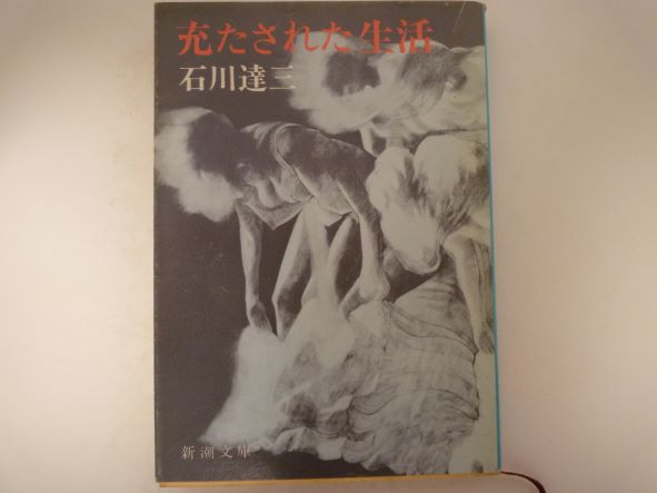 充たされた生活 (新潮文庫 ) 石川 達三 (著)