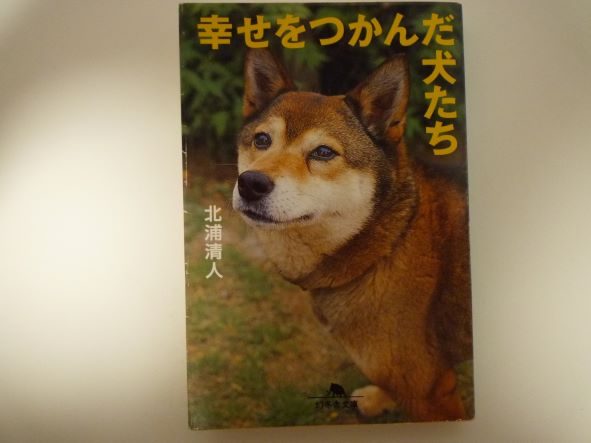 Rakuten - 幸せをつかんだ犬たち (幻冬舎文庫)  北浦 清人 (著)