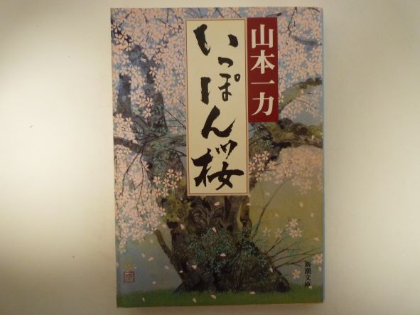 Rakuten - いっぽん桜 (新潮文庫) 山本 一力 (著)