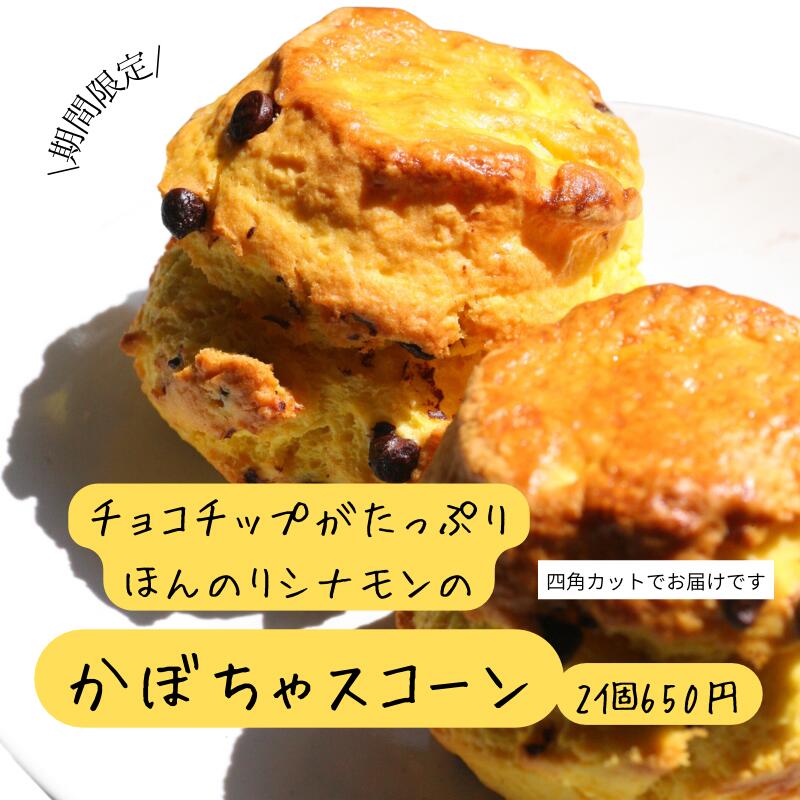 大阪なにわ伝統野菜かぼちゃ使用 かぼちゃスコーン チョコチップ ほんのりシナモン 2個入 650円 焼菓子 スイーツ 期間限定のサムネイル