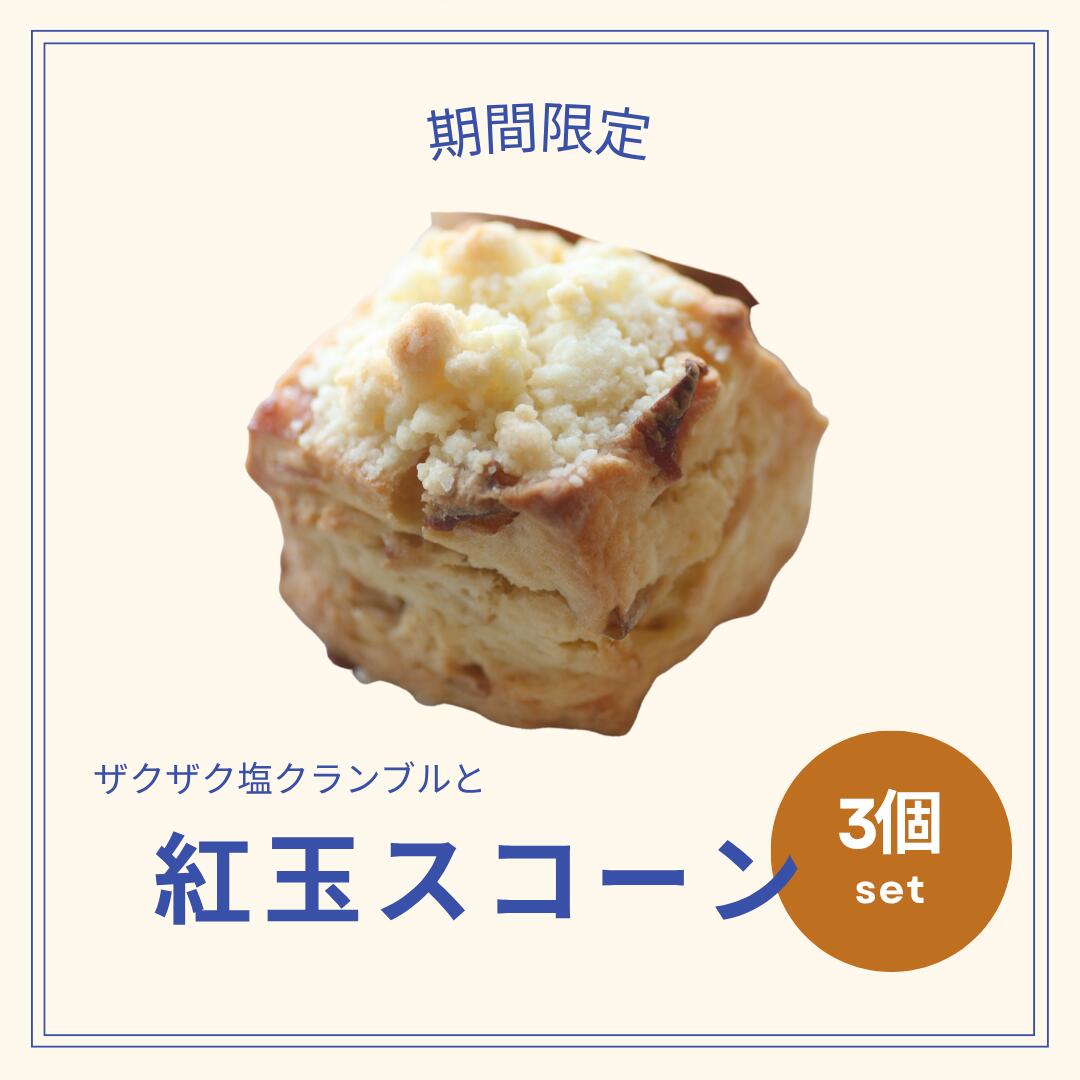 紅玉りんごのセミドライスコーン 3個入 塩クランブル仕立て 季節限定 ...(4.0)
