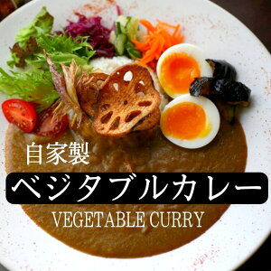 ベジタブルカレー スパイスカレー スパイシー カレー ベジタブル curry レトルト お取り寄せ 冷蔵発送 おすすめ 人気 美味しい