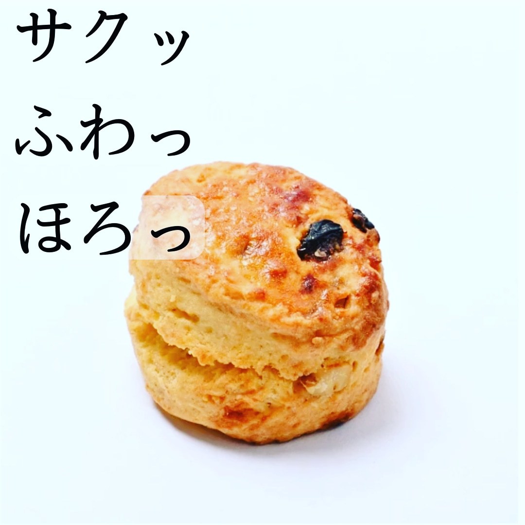 定番プレーンスコーン6個＋塩バターホイップ1個 お試し お菓子 スイーツ おすすめ ギフト プレゼント 贈り物 記念日 プレゼント