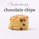 《チョコチップ》チョコチャンクス