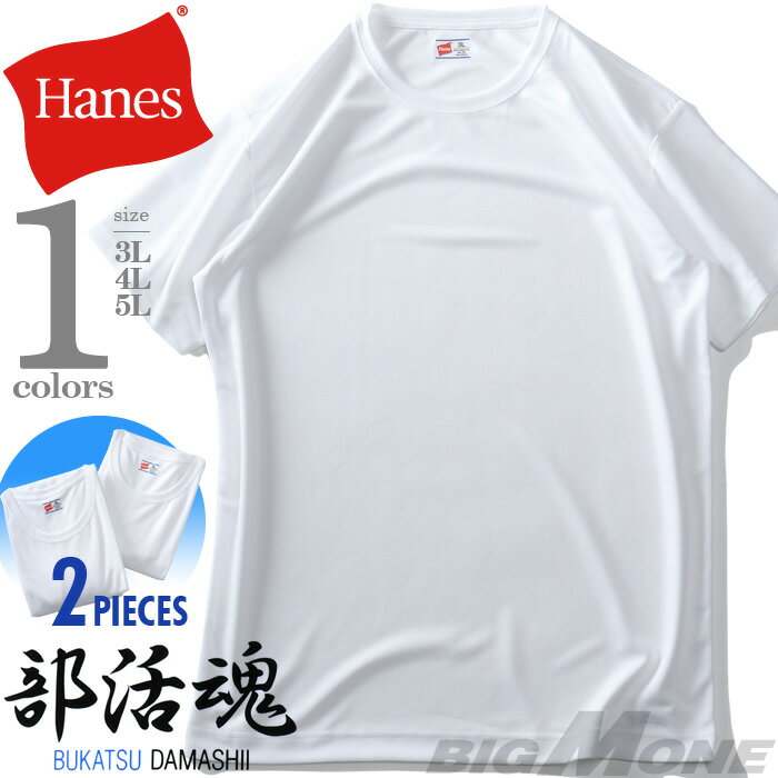 礭  HANES إ 2P 躲 롼ͥå Ⱦµ T 2祻å ۴®  ȩ  hm1-g704