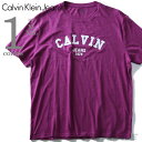 CALVIN KLEIN JEANS(カルヴァンクラインジーンズ) デザイン半袖Tシャツ41t7156