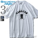 大きいサイズ メンズ HAWAIIAN STYLE ハワイアンスタイル LOCAL MOTION ローカルモーション 半袖 プリント Tシャツ USA直輸入 mts17311