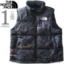 大きいサイズ メンズ THE NORTH FACE ザ ノース フェイス ダウン ベスト 1996 RETRO NUPTSE VEST USA直輸入 nf0a3jqq-iri