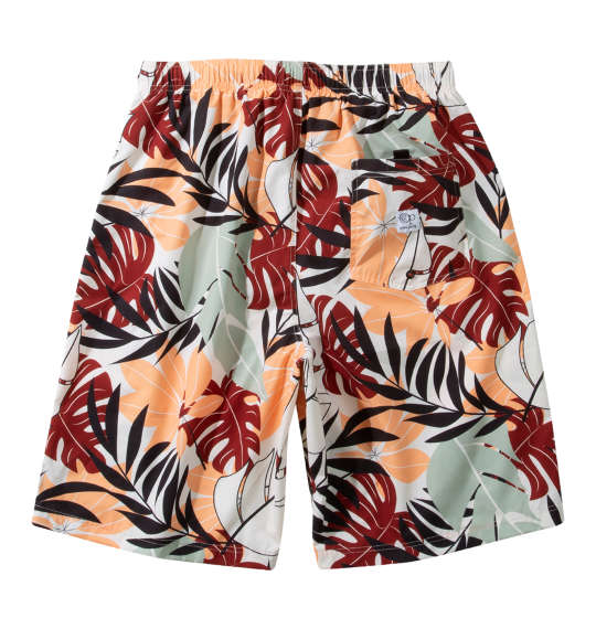 大きいサイズ メンズ OCEAN PACIFIC ストレッチ サーフ パンツ ベージュ 1274-5271-1 3L 4L 5L 6L 8L