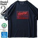 大きいサイズ メンズ DANIEL DODD オーガニックコットン プリント 半袖 Tシャツ SURFING azt-210240