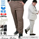 大きいサイズ メンズ SARTORIA BELLINI セットアップ オックス ストレッチ パンツ ジャストフィット 軽量 ウォッシャブル イージーケア ライフスーツ azw24235-sp