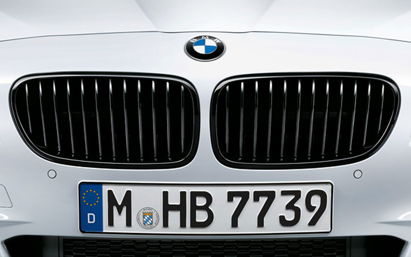 BMW F10 F11 5シリーズ用 ブラック グリ