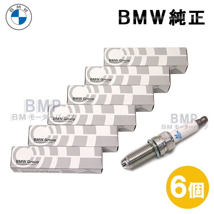 BMW 純正 ハイパワー スパークプラグ NGK LZFR6AP11GS 6本セット エンジン形式N52N 2009年12月以降生産車両