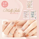 Melty Gelee ジェルネイルシール BN ビーエヌ ジェルネイル 新感覚 とろける艶感 高密着!剥がれにくい 硬化不要 カット不要 貼るだけ簡単 セルフ...