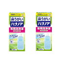 小林製薬 ハナノア 専用洗浄液 500mL ×2【2個セット】送料無料 鼻うがい 花粉 鼻づまり 鼻水