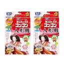 タンスにゴンゴン 人形用防虫剤 8個入 無臭 ( 雛人形のダニよけ 防カビ 消臭 )×2【ネコポス】【2個セット】送料無料