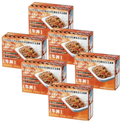 レスキューフーズ 一食ボックス 牛丼×6【6個セット】 災害備蓄 保存食 災害 備え 非常食
