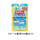 小林製薬 糸ようじ スルッと入るタイプ　60本入×48【48個セット】ケース販売 送料無料 歯間ブラシ フロス