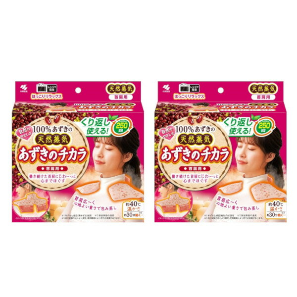 あずきのチカラ 首肩用 100% あずきの天然蒸気 約250回×2【2個セット】 チンしてくり返し使える 小林製薬 送料無料 在庫処分 セール 激安