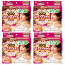 あずきのチカラ 首肩用 100% あずきの天然蒸気 約250回×4【4個セット】 チンしてくり返し使える 小林製薬 送料無料 在庫処分 セール 激安