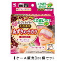 あずきのチカラ 目もと用 100% あずきの天然蒸気 約250回×20ケース販売 送料無料 チンしてくり返し使える 小林製薬