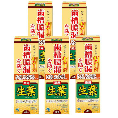 【5個セット】ひきしめ生葉(しょうよう) 歯槽膿漏を防ぐ 薬用ハミガキ ハーブミント味 100g×5個セット