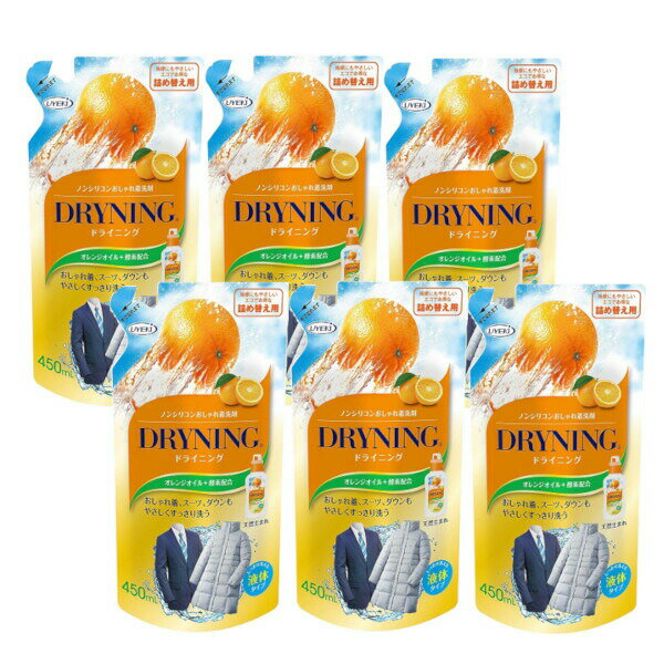 ドライニング 衣類用液体洗剤 ドライマーク・ウールの衣類・おしゃれ着洗い 詰替 450ml×6【6個セット】送料無料