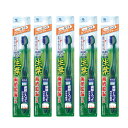 【五個セット】生葉(しょうよう)歯間に入るブラシ 歯ブラシ コンパクト ふつう×5【ネコポス】(4)