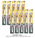 エビス イープレミアムケア 替えブラシ ふつう2個入り(※色は選べません)×10【10個セット】【ネコポス】送料無料
