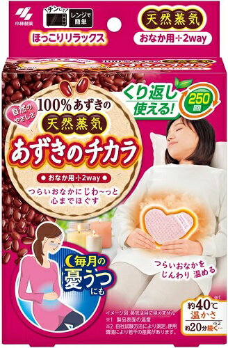 小林製薬 あずきのチカラ おなか用 あずきの天然蒸気 約250回 チンしてくり返し使える