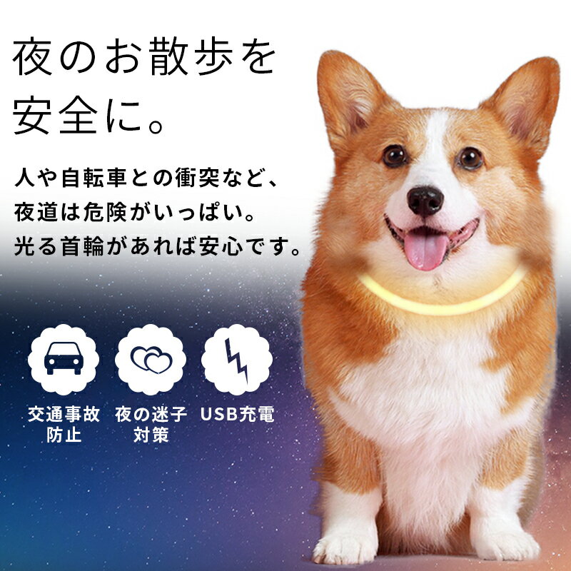 首輪 犬 光る ペット LEDライト 猫 USB充電式 小型犬 中型犬 大型犬 35cm 50cm 70cm ペット用品 ドッググッズ 安全