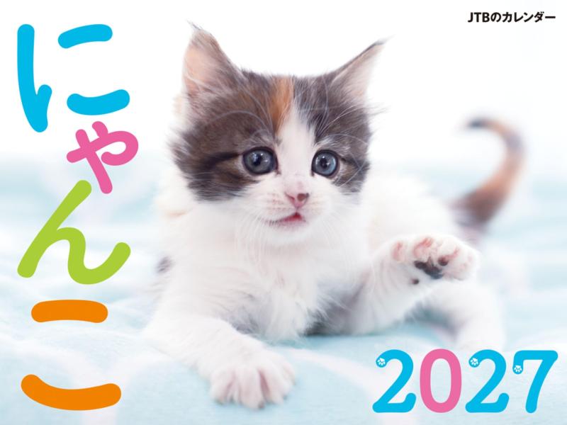 JTBのカレンダー「にゃんこ 2027 」壁掛け/月めくり/猫 (カレンダー2027)