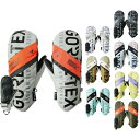 24-25 ASHRAM/アシュラム PROFILE LOGO MITT プロファイルロゴ・ミトン ゴアテックス 手袋 メンズ レディース スノーボード スキー...