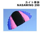 カイト単体 NASAWING 250 / 4.85平米 ナサウイング カイト カイトボード スポーツカイト フォイルボード カイトバギー スノーカイト(4)