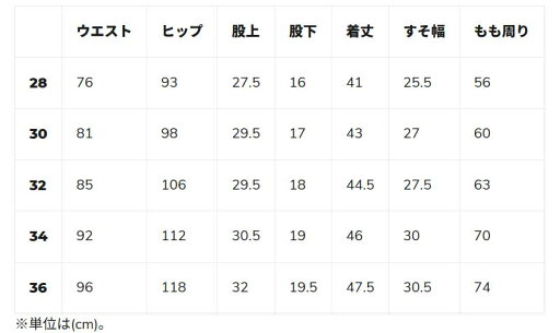 VOLCOM LAWTOM /ボルコム メンズ サーフパンツ ボードショーツ 海パン 水着 A0802300 サーフィン メール便対応