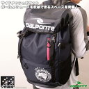 ダウポンチ リュック [dpz-95 バックパック] dalponte フットサル アクセサリー バッグ デイパック ザック リュック dalponte リュック 【送料無料】【ネコポス不可】