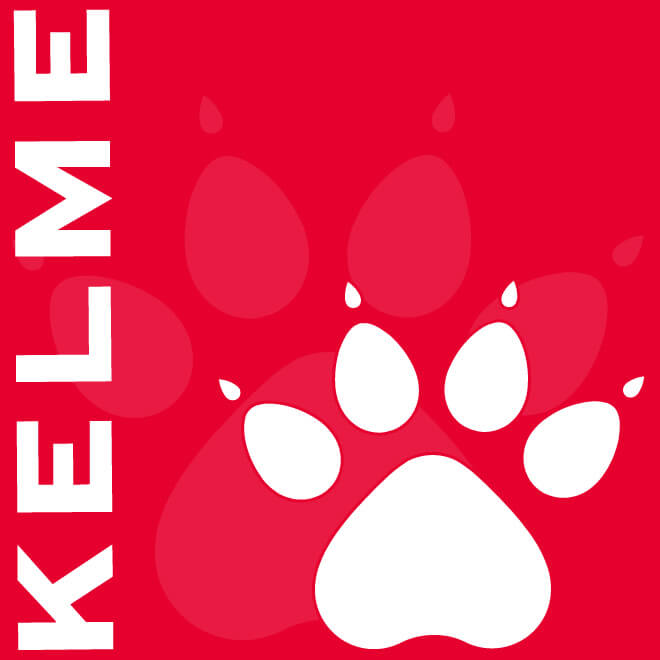 ケルメ サッカー練習着上下セット [kc20s107--139 プラクティスシャツクォーターパンツ上下セット] kelme フットサル ウェア 上下 セット プラシャツ ハーフパンツ kelme トレーニングウェアセットアップ 【ネコポス不可】【上下セット】