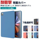 Apple iPad Pro 第6世代 12.9インチ 2022モデル (A2764/A2437/A2766) タブレットケース 薄型 傷やほこりから守る 耐衝...